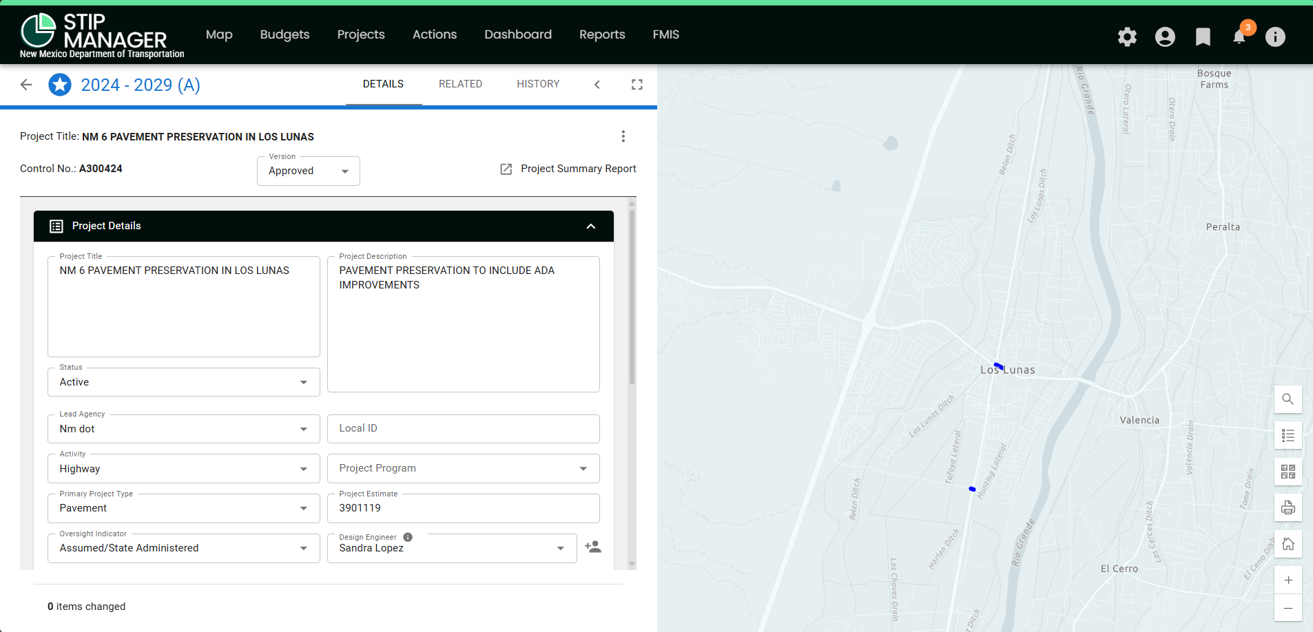 L - NM STIP Manager Detail Tab.png